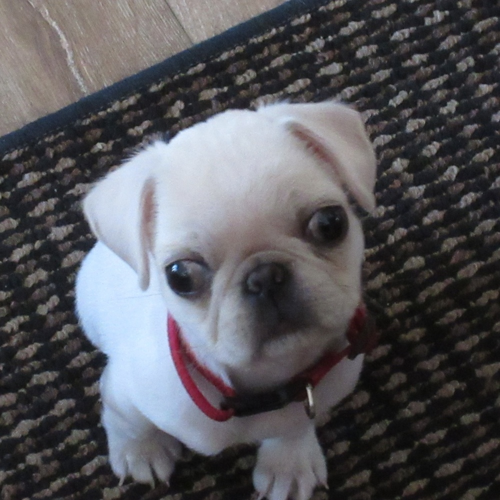 Attention all curvy ladies!